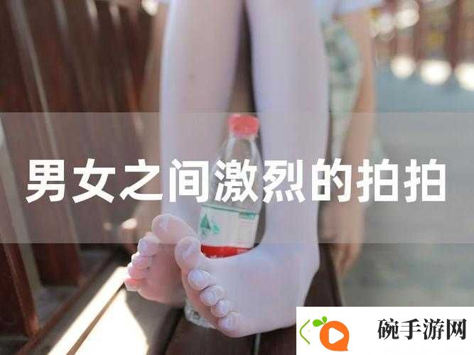 求拍拍拍