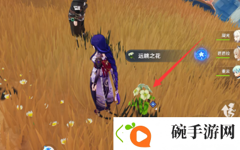 原神层岩巨渊六个供物在哪