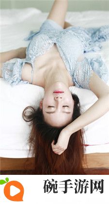 侍从官之躯：一位忠诚护卫的历史与职责