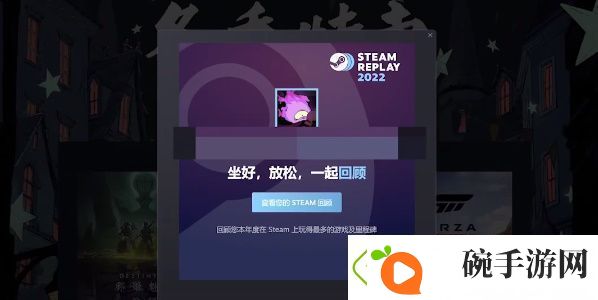 2022steam年度回顾怎么看