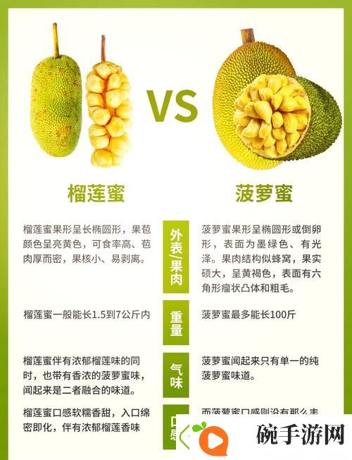 探索榴莲香蕉苹果哈密瓜水蜜桃的甜蜜世界