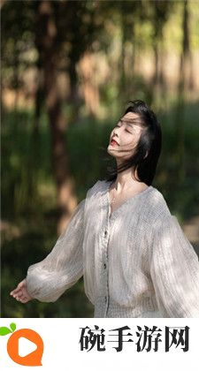 东北打桩机2023gray：技术进展与市场动态