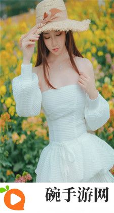2k11：格局与玩家体验