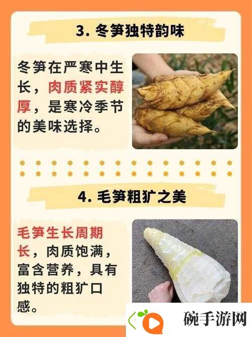 迷你世界竹笋获取攻略