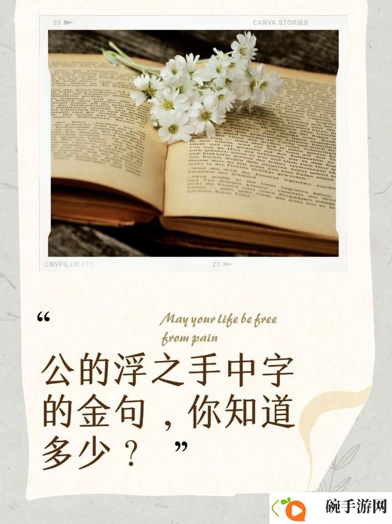 内容精彩纷呈的公的浮之手中字