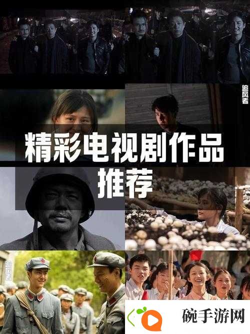 拨萝卜电视剧免费全集在线观看