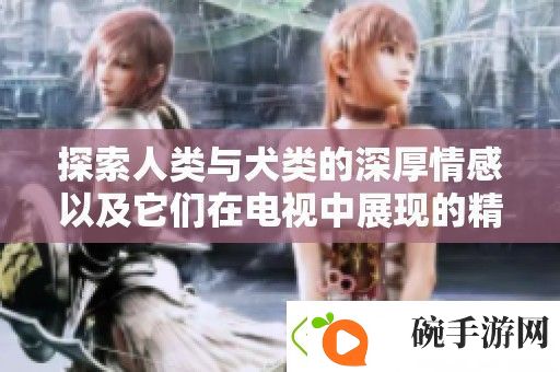 探索人类与犬类的深厚情感以及它们在电视中展现的精彩瞬间
