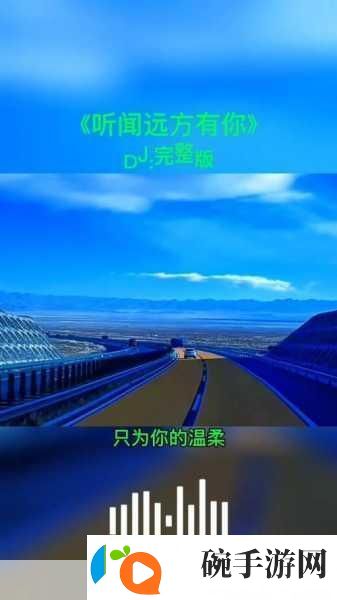 我的朋友她的麦子DJ