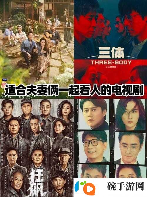 适合夫妻一起看的电视剧推荐理由