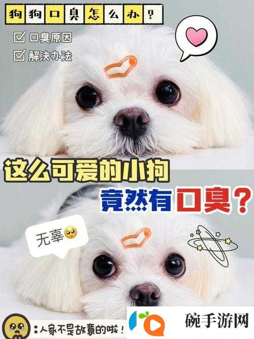 狗狗的东西又硬又烫又臭怎么办
