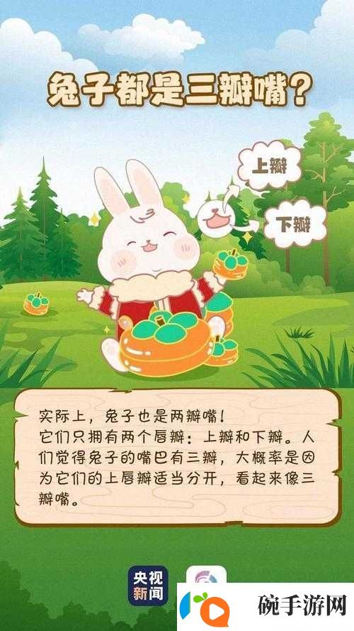 无人区编码