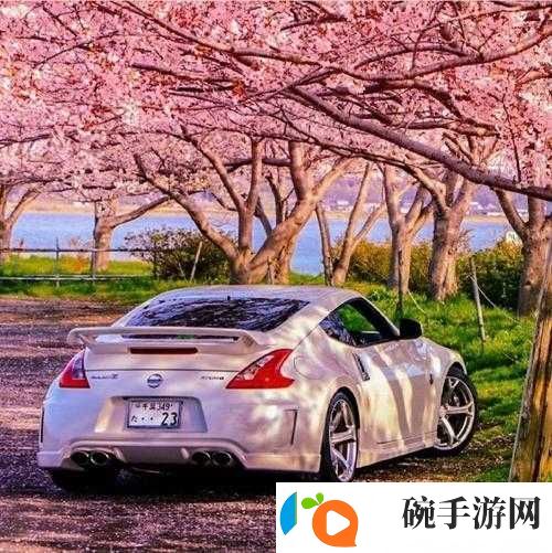 日产樱花一线二线三线