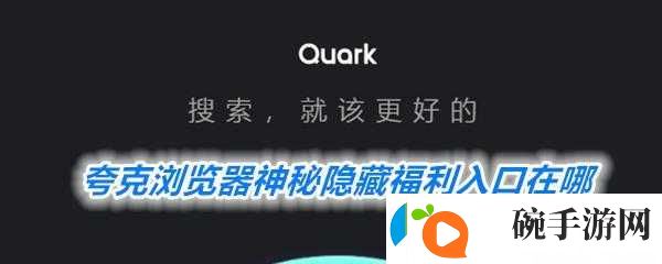 成品网站入口隐藏通道