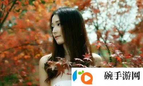 人狗畜禽 Company Limited