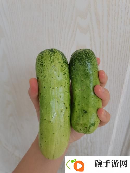 18水蜜桃和大黄瓜