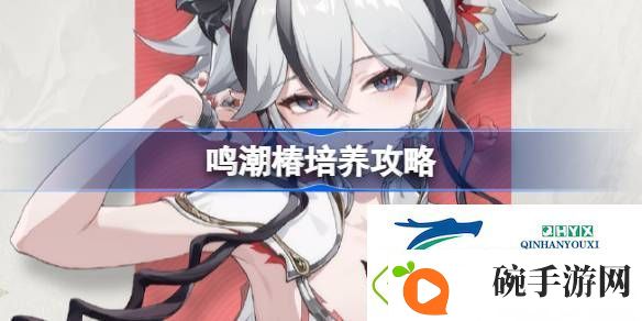 鸣潮椿声骸武器阵容推荐