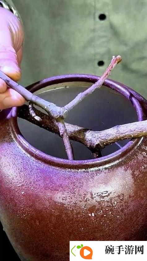 独具一格的大香煮2024一人一煮