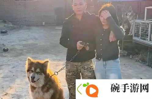 训狗一哥潘宏又出事