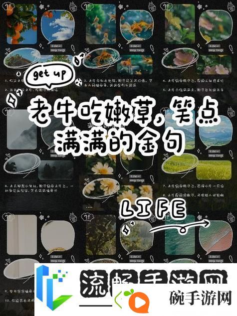 探讨老牛嫩草和一区二区三区的文化现象