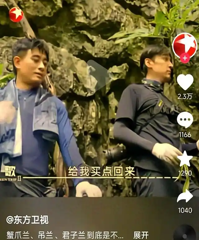 胡歌三个问题劝退朋友养兰花