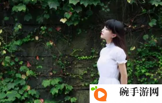 夏婉的沉沦之1-40：这一设计真是太有创意了！