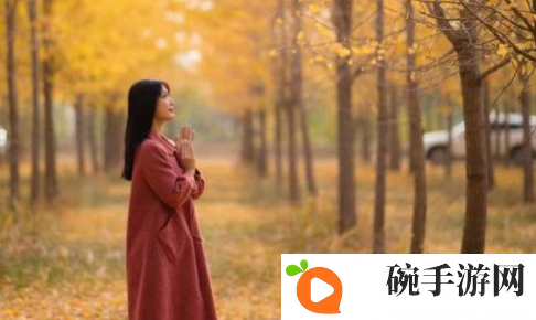 ysl蜜桃色8pocc：探索生活中的小确幸