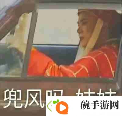 兜风吗妹妹表情包