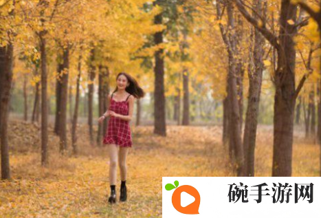 老赵抱着陈婷在厨房做饭：这背后故事挺有趣