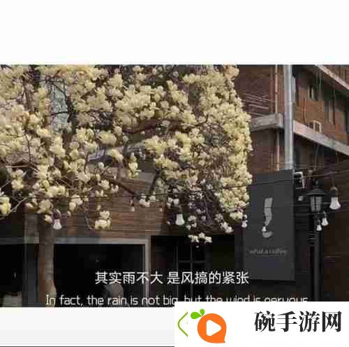 奶茶并不比烟贵一束花也不是高消费图片