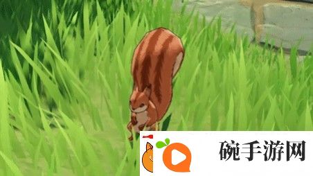 原神松鼠作用介绍