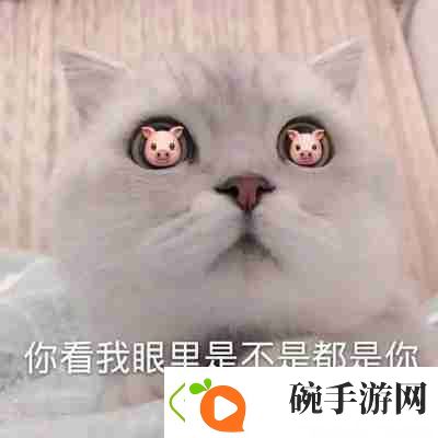 兜风吗妹妹表情包