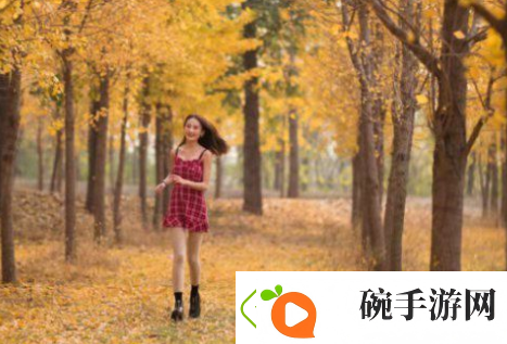 鲁大师影院在线观看电视视频