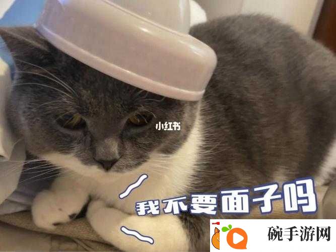 什么