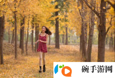 老扒草红法蓉最经典的一句