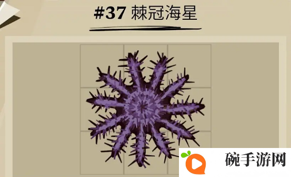 《渔帆暗涌》棘冠海星位置一览