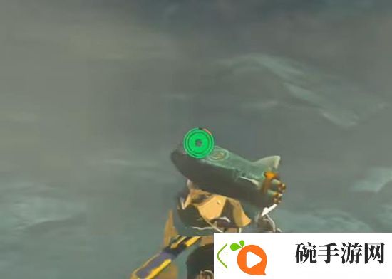 塞尔达传说王国之泪幻影套获取攻略