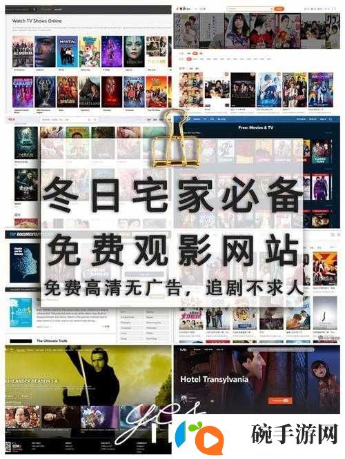 免费网站在线观看人数在哪网站