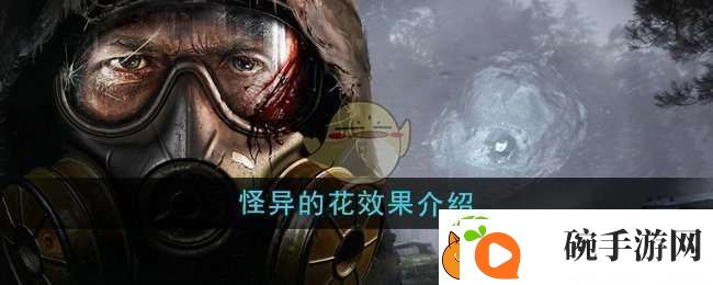 潜行者2怪异的花有什么用