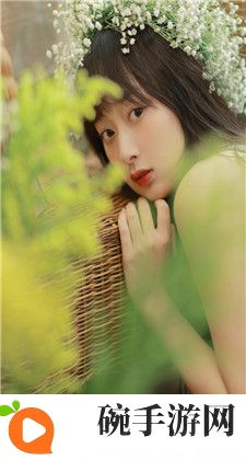 骚狐： 揭开它背后的智慧与文化象征