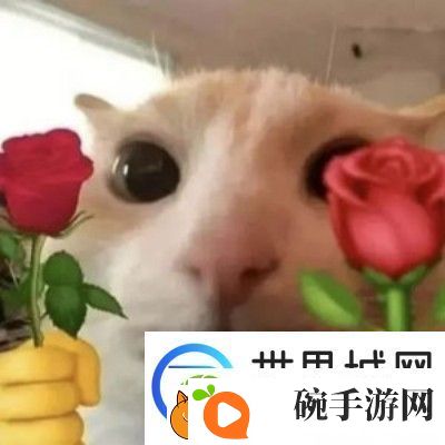 玫瑰玫瑰玫瑰是什么梗的来源和含义