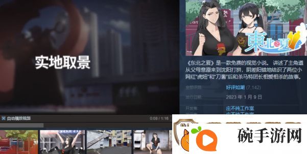 东北之夏入库教程