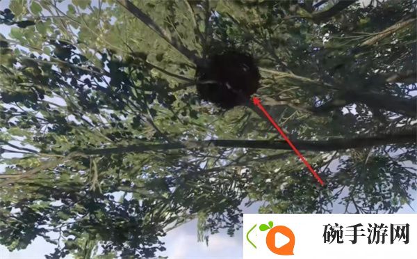高级玩法深度解析