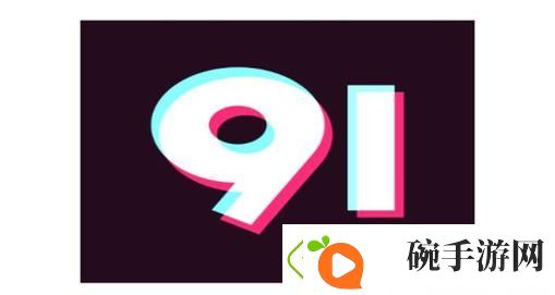 探索九幺黄9·1安装的最佳实践与效果