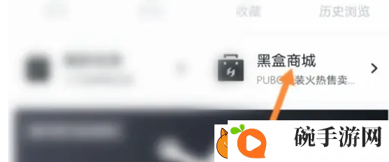 小黑盒购买记录怎么查看