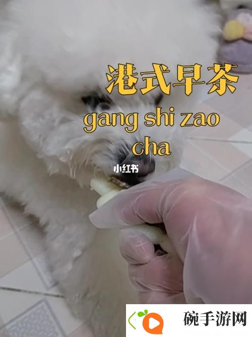 美国人与动物胶配方有哪些