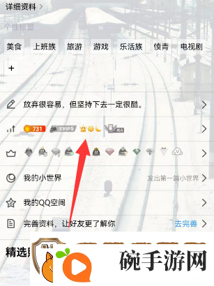 qq怎么查询全球等级排行