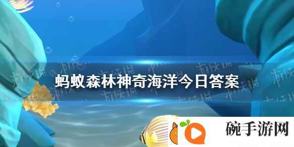 在我国以下哪种蟹属于外来物种