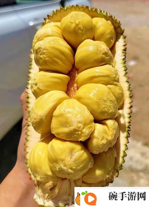榴莲香蕉苹果哈密瓜水蜜桃