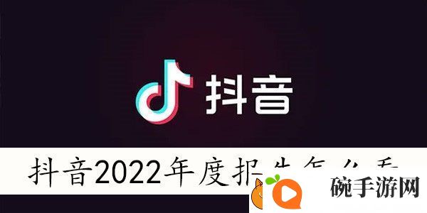 抖音2022年度报告入口在哪