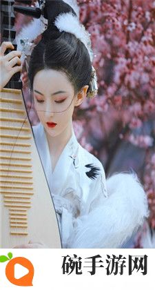 台湾版魂销骊宫，安禄山霸占玉环台湾版